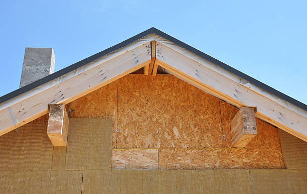 Best Insulated Siding Installation  in Fisher, IL